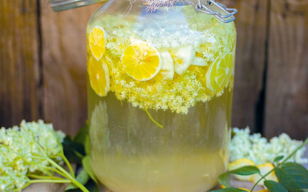 Pétillant de sureau (fermentation)