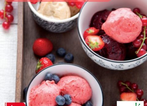 Recette Sorbet aux fruits végétal