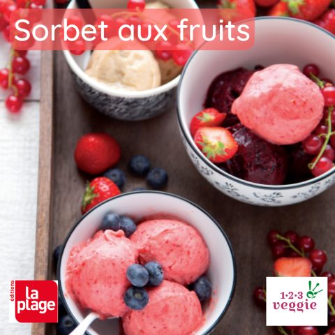 Sorbet aux fruits végétal