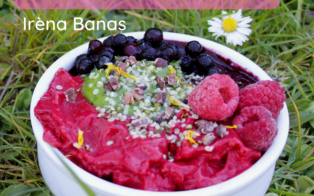 Glace aux framboises et feuilles de framboisier