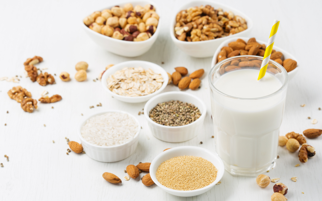 Lait végétal fait maison
